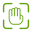 hand-detection.webp